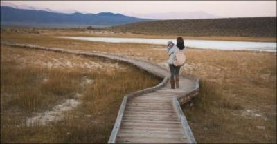 Familieopstillingssession - 90 minutter