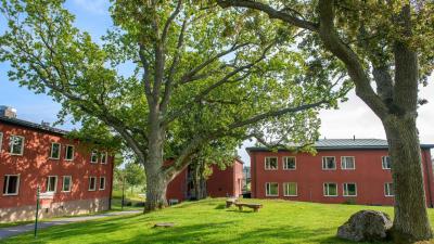 Sverige: 3 dage med kvartpension