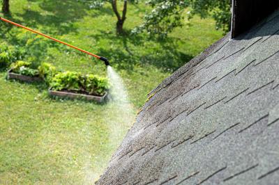 Algebehandling og fliserens