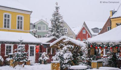 Julestemning og natur i Tønder