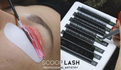 Lash lift, Brow lam. & Eyelash extensions