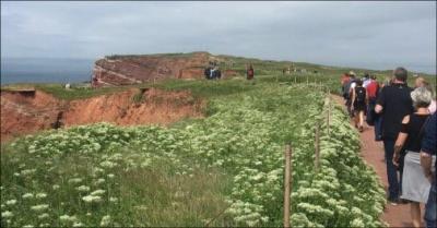 Guidet Helgoland udflugt med unikt fugleliv og historie - 1 dags guidet Helgoland tur med sejlads, bus, naturformidling og forplejning