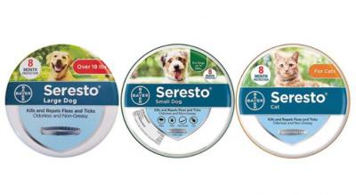 Seresto flåt- og loppehalsbånd til hund og kat