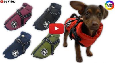 Vandtæt hundefrakke med indbygget sele