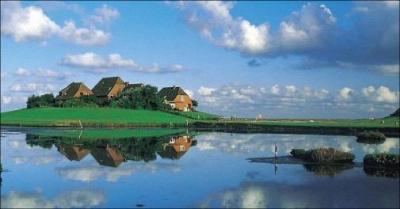 Dagsudflugt til Hallig Hooge med natur og kongelig historie - Unik bustur med Sort Safari / Specialpris d. 22 aug 2026