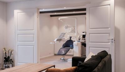 Professionelt Tandeftersyn