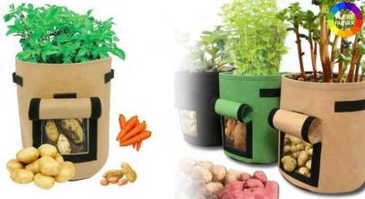 Smart dyrkningspose - fremragende til at plante mange grøntsager