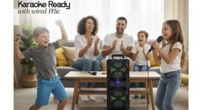 Bærbar dobbelt 6,5" trådløs Bluetooth-højttaler med mikrofon, FM-radio, USB og AUX