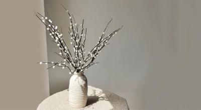 Dekorative pilegrene til hjemmet