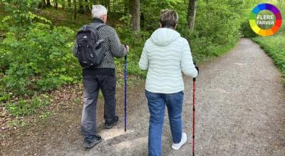 Ergonomiske vandrestave