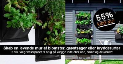 Krydderurter og grøntsager på væggene