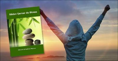 E-bog om stress