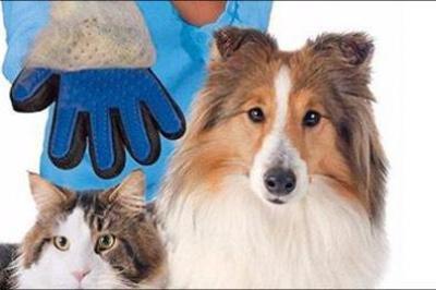 Pelsplejehandske til hund og kat 