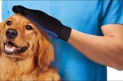 Pelsplejehandske til hund og kat 