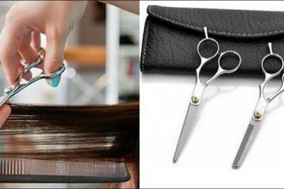 Professionelle frisørsakse