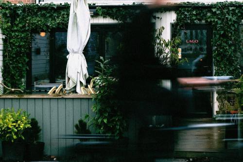 tilbuds-billede