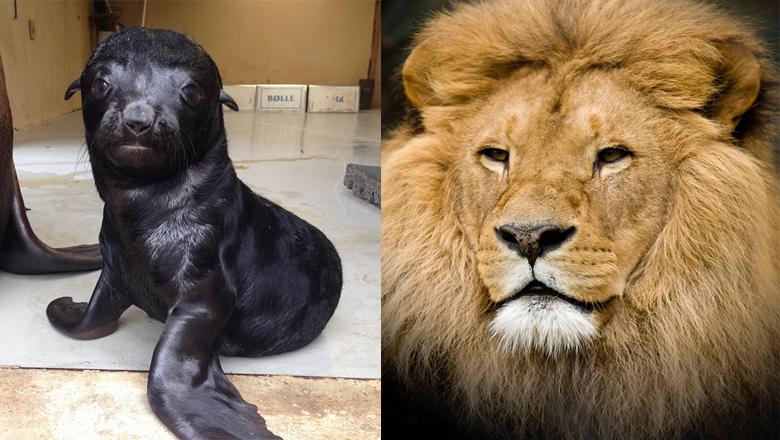 Jylland Park Zoo rabat swinger klub Kolding Jylland Park Zoo rabat swinger klub Kolding