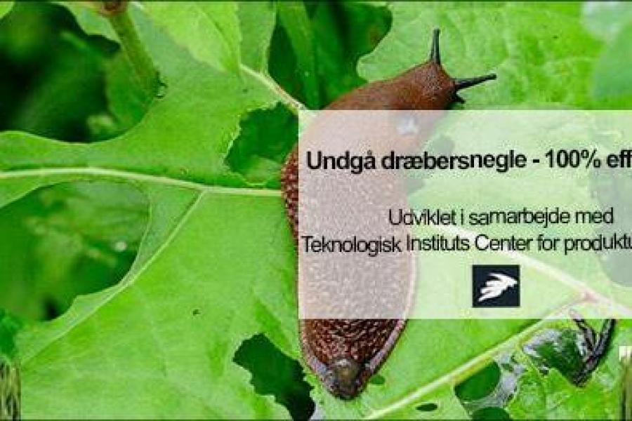 tilbuds-billede